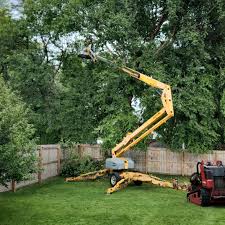 Best Arborist Consultation Services  in USA